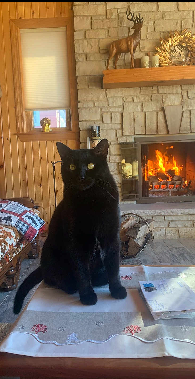 Bambo joined the competition — help win amazing prizes! black_cat, cat, fireplace, fire, stone_wall, wooden_furniture, table, table_runner, envelope, quilt, cushion, window, curtains, decor, cozy, indoor, pet, animal, yellow_eyes, wood_floor