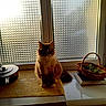 Mitchou participe au concours pour gagner de l'argent avec cette photo : cat, window, kitchen, basket, plant, pot, counter, sunlight, indoor, furniture, animal, pet, fluffy, domestic, tablecloth, shadow, still_life, cozy, home, relaxed