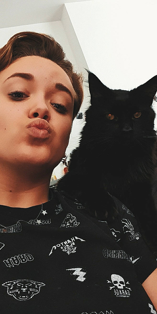 Hollow a rejoint le concours — aidez-le/la à gagner de superbes lots ! black_cat, black_hair, carnivore, cat, cheek, domestic_short_haired_cat, ear, eye, felidae, neck, nose, photography, small_to_medium_sized_cats, whiskers