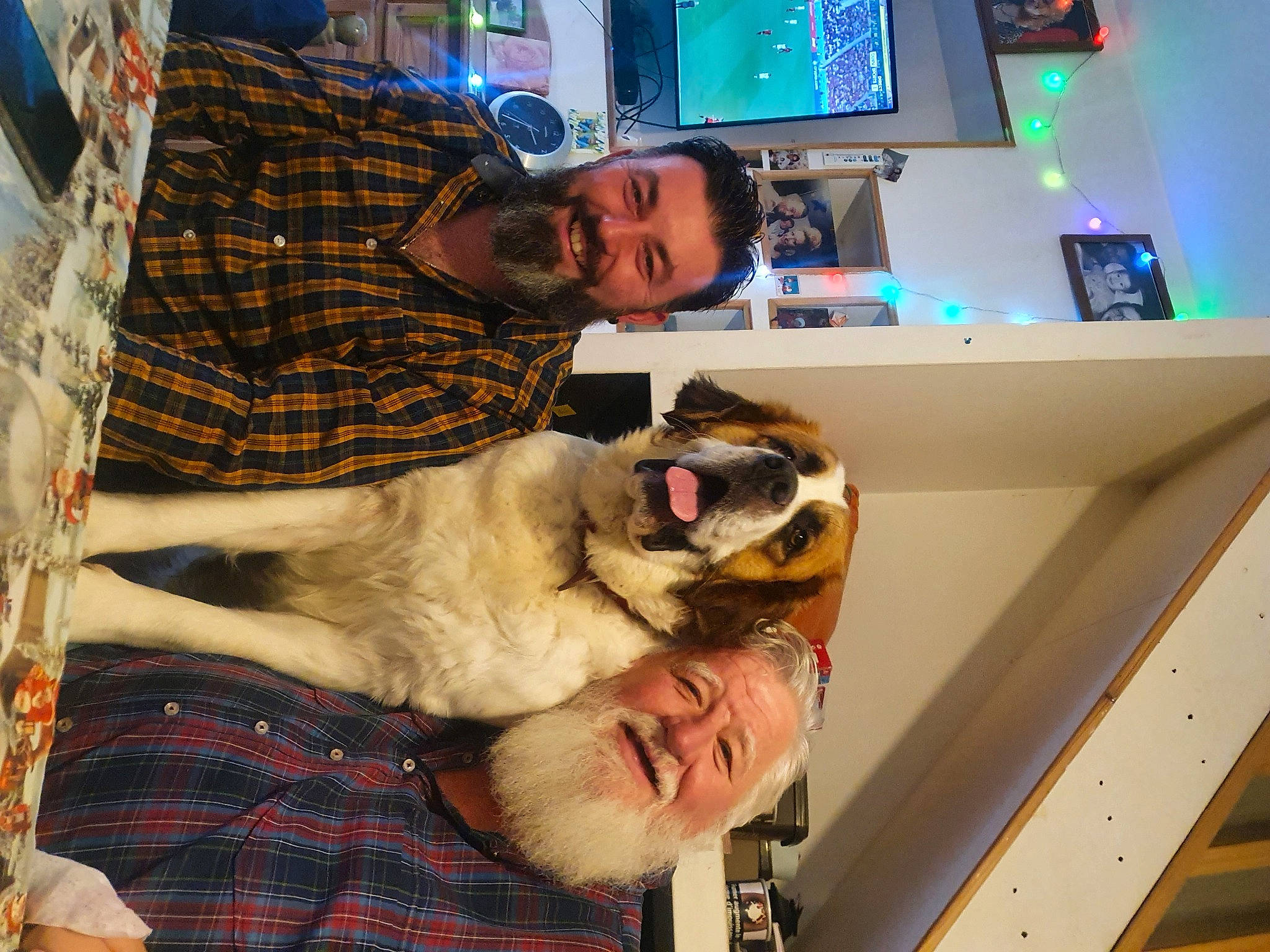 Salie participe au concours pour gagner de l'argent avec cette photo : carnivore, comfort, companion_dog, display_device, dog, dog_breed, eyewear, fawn, felidae, fun, fur, pattern, plaid, room, small_to_medium_sized_cats, snout, sporting_group, tartan, television, television_set