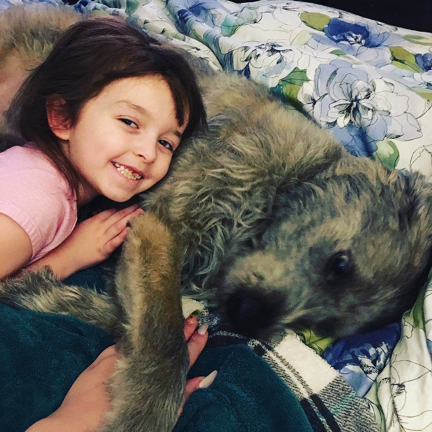 Rocky is registered to the contest to win money with this photo: carnivore, child, comfort, companion_dog, cool, dog, dog_breed, ear, electronic_device, fur, gesture, goat, happy, lap, livestock, selfie, skin, smile, toddler, working_animal