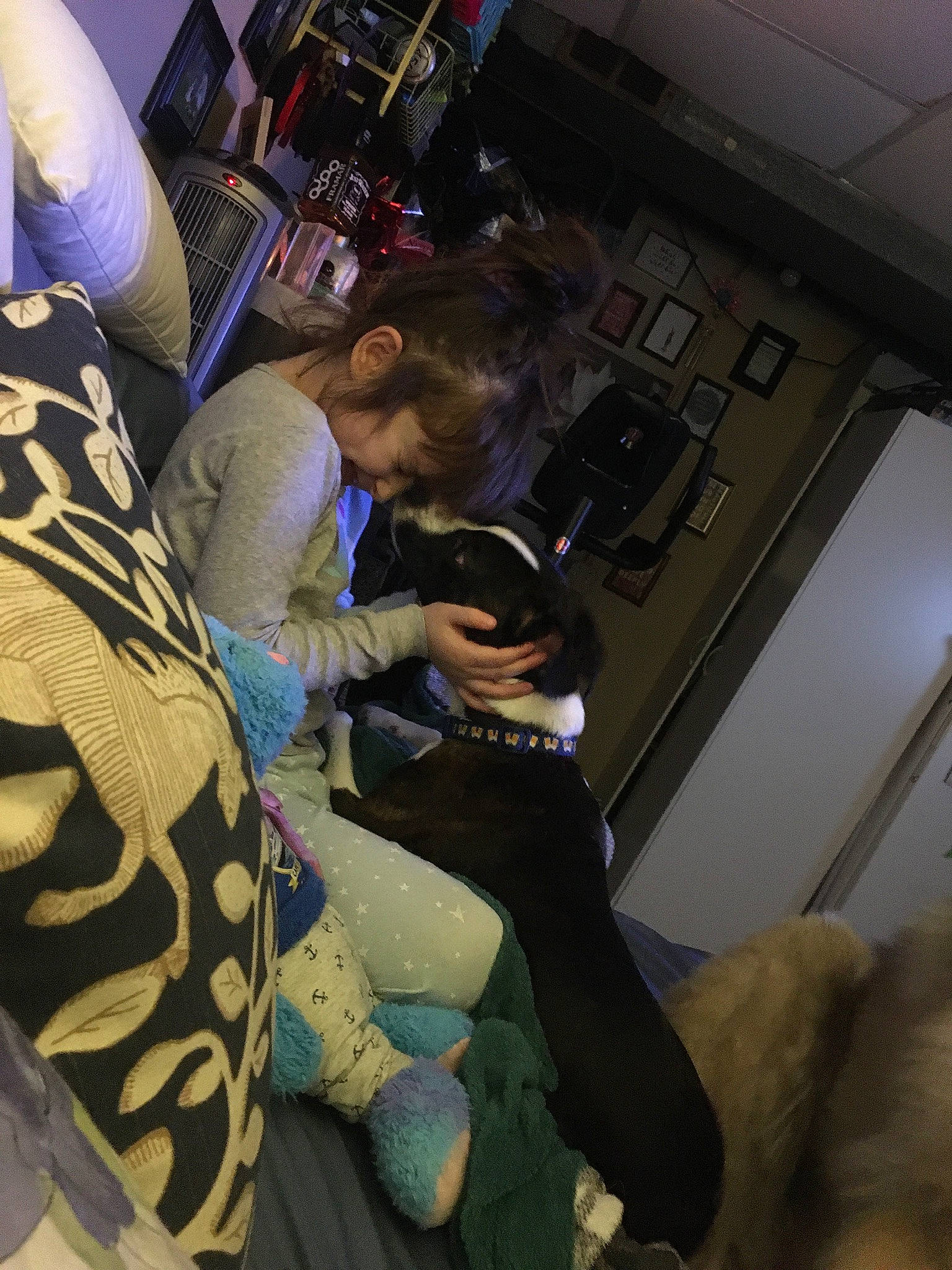 Forrest joined the competition — help win amazing prizes! audio_equipment, automotive_design, bag, boot, comfort, companion_dog, event, eyewear, fun, human_leg, knee, lap, leg, luggage_and_bags, musician, personal_protective_equipment, room, sitting, t_shirt, thigh