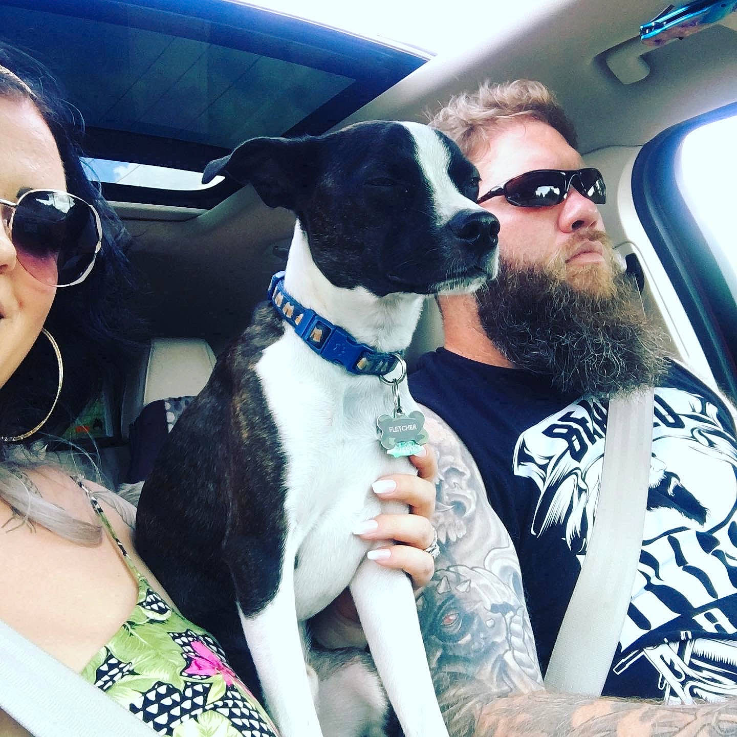 Forrest joined the competition — help win amazing prizes! automotive_design, beard, car, carnivore, comfort, companion_dog, cool, dog, dog_breed, eyewear, fawn, glasses, goggles, head, head_restraint, street_fashion, sunglasses, travel, vehicle_door, vision_care