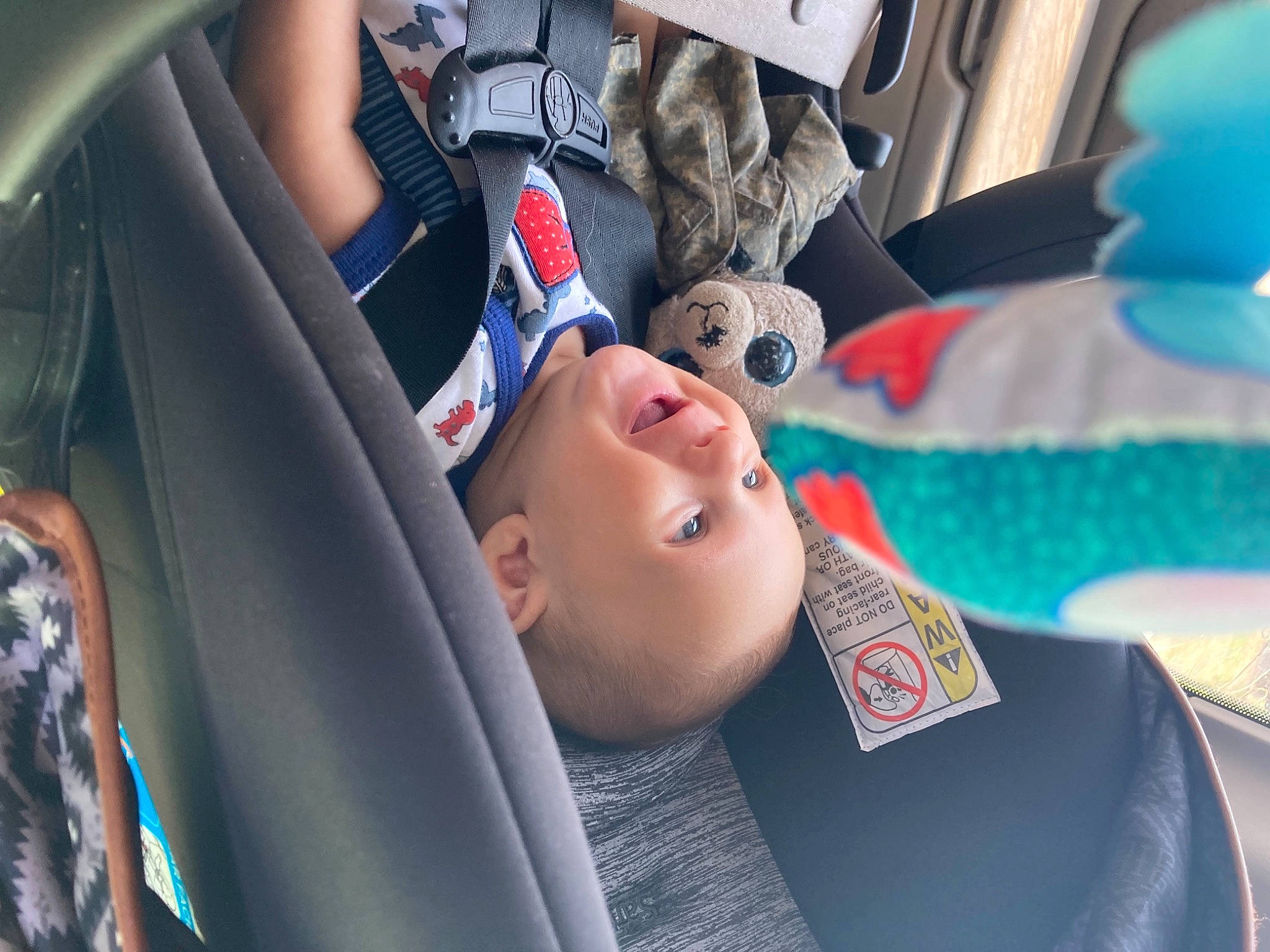 Jack is registered to the contest to win money with this photo: auto_part, automotive_design, automotive_exterior, car, car_seat, car_seat_cover, electric_blue, eyewear, family_car, fun, head_restraint, headgear, motor_vehicle, person, personal_luxury_car, steering_wheel, street_fashion, sunglasses, toy, vehicle