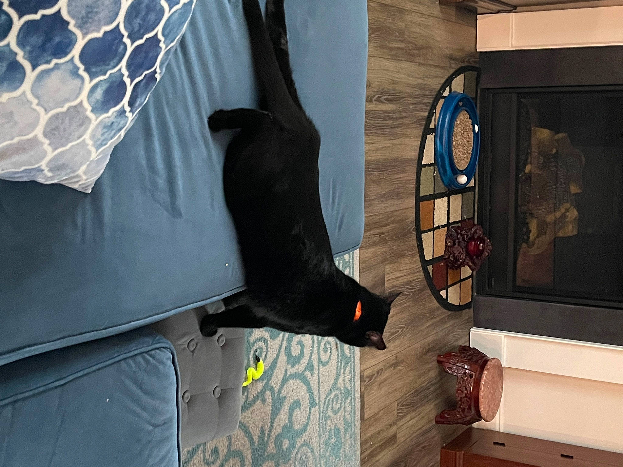 Freddie is registered to the contest to win money with this photo: auto_part, automotive_design, automotive_exterior, automotive_lighting, automotive_window_part, foot, glass, hood, human_leg, linens, machine, pattern, room, tail, vehicle_door, vertebrate, visual_arts, windshield, wood