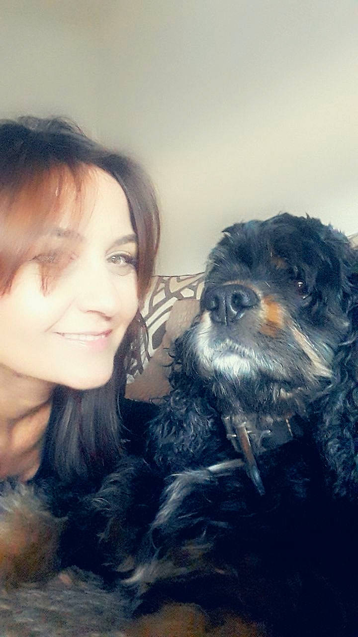 Emile a rejoint le concours — aidez-le/la à gagner de superbes lots ! affenpinscher, black_hair, bolonka, canidae, carnivore, cavapoo, companion_dog, dog, dog_breed, fur, hair, human, nose, photography, puppy, puppy_love, schnoodle, selfie, snout, sporting_group