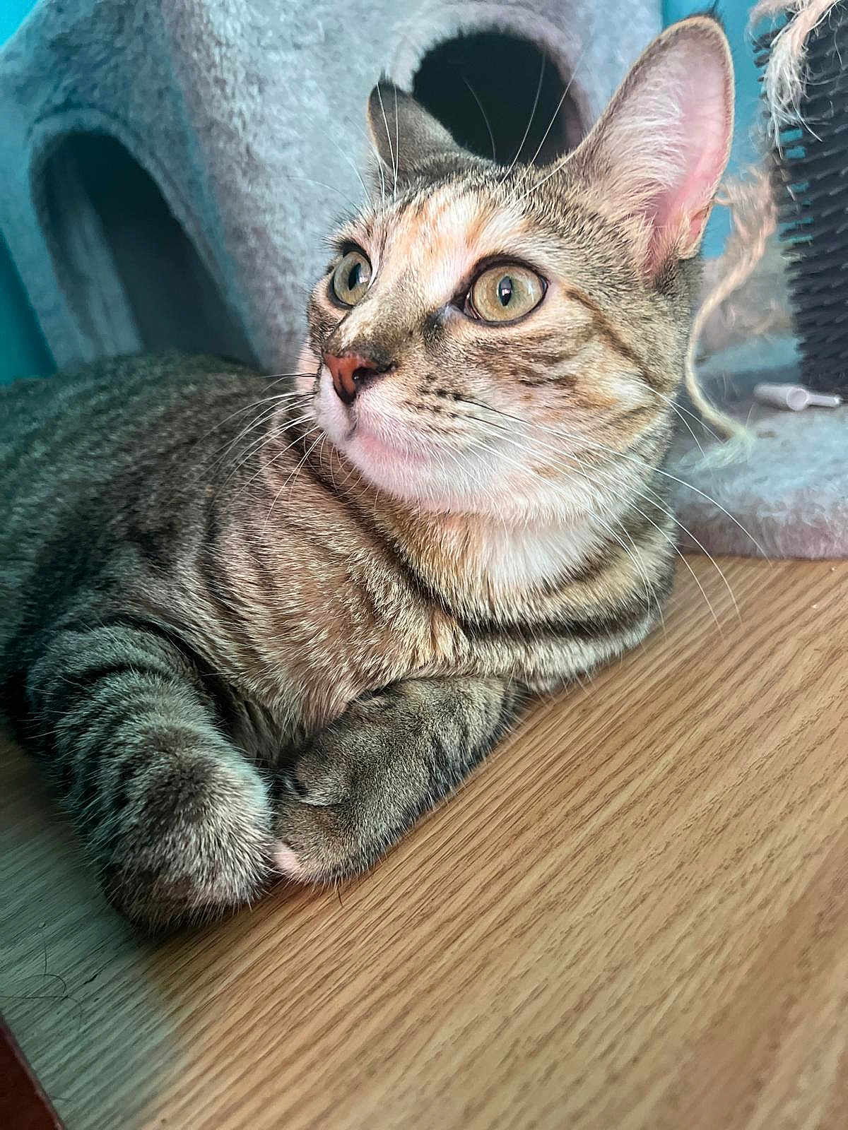 Coco