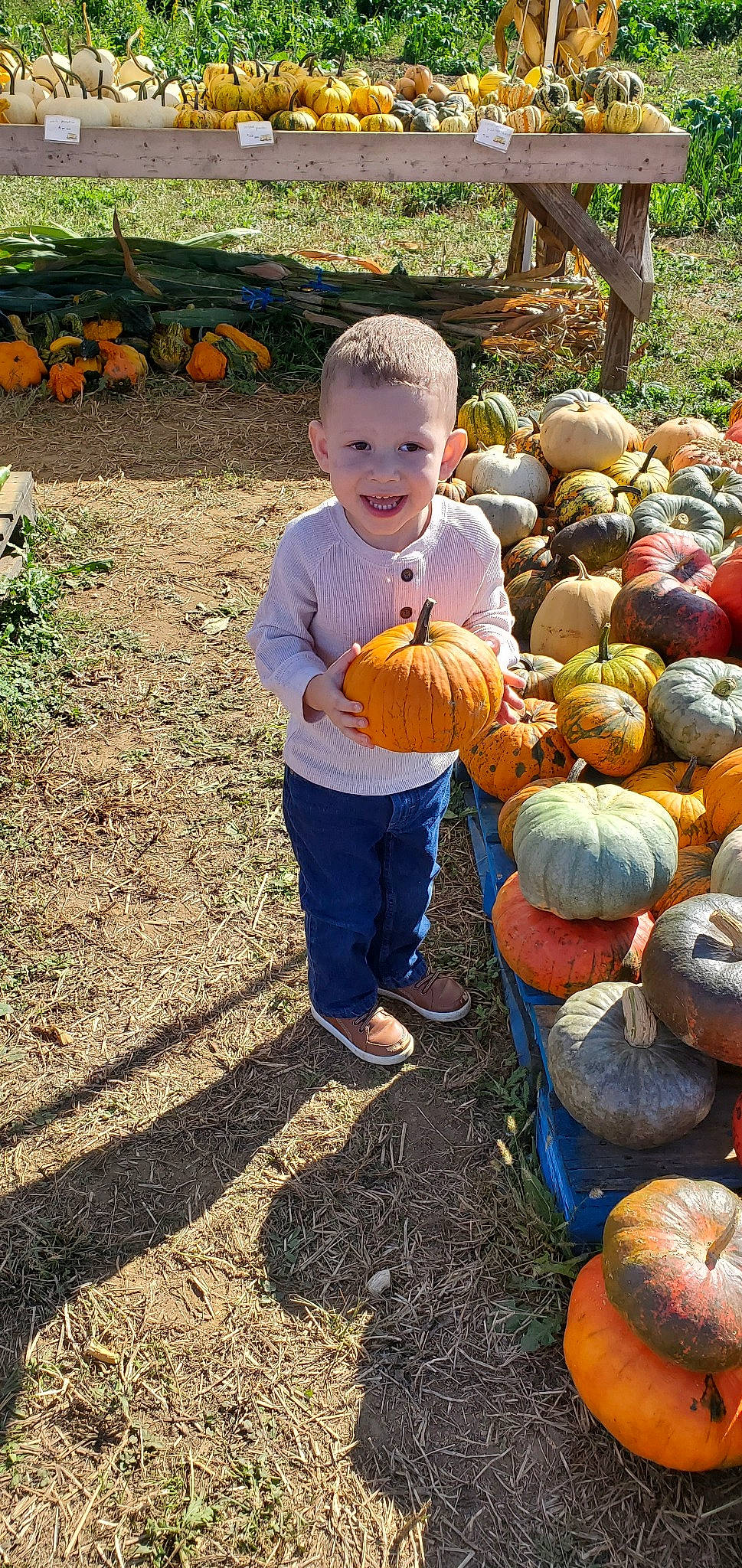 Donovin joined the competition — help win amazing prizes! _and_melon_family, _gourd, calabaza, cucumber, cucurbita, gourd, joy, local_food, person, plant, pumpkin, squash, vegetable, winter_squash