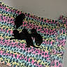 Precious is registered to the contest to win money with this photo: animal, baby, blanket, carpet, colorful, cozy, cute, feline, four, fur, group, indoors, kitten, leopard_print, newborn, pet, resting, sleeping, small, soft