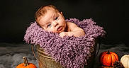 Aminah joined the competition — help win amazing prizes! baby, child, infant, portrait, autumn, halloween, pumpkins, purple_blanket, metal_bucket, rustic, balloons, boo, books, pinecones, maple_leaves, seasonal_decor, studio_photography, dark_background, cozy, safe