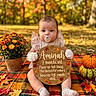 Aminah joined the competition — help win amazing prizes! baby, infant, child, portrait, sitting, pacifier, smiling, autumn, fall, pumpkins, flowers, chrysanthemums, fallen_leaves, plaid_blanket, outdoor, park, natural_light, striped_socks, wooden_sign, seasonal_decoration