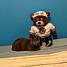 Minnie is registered to the contest to win money with this photo: cat, black_cat, plush_bear, stuffed_animal, bed, blanket, blue_wall, indoor, feline, animal, toy, mascot, soft_toy, resting, cute, pet, domestic_animal, fur, ears, eyes