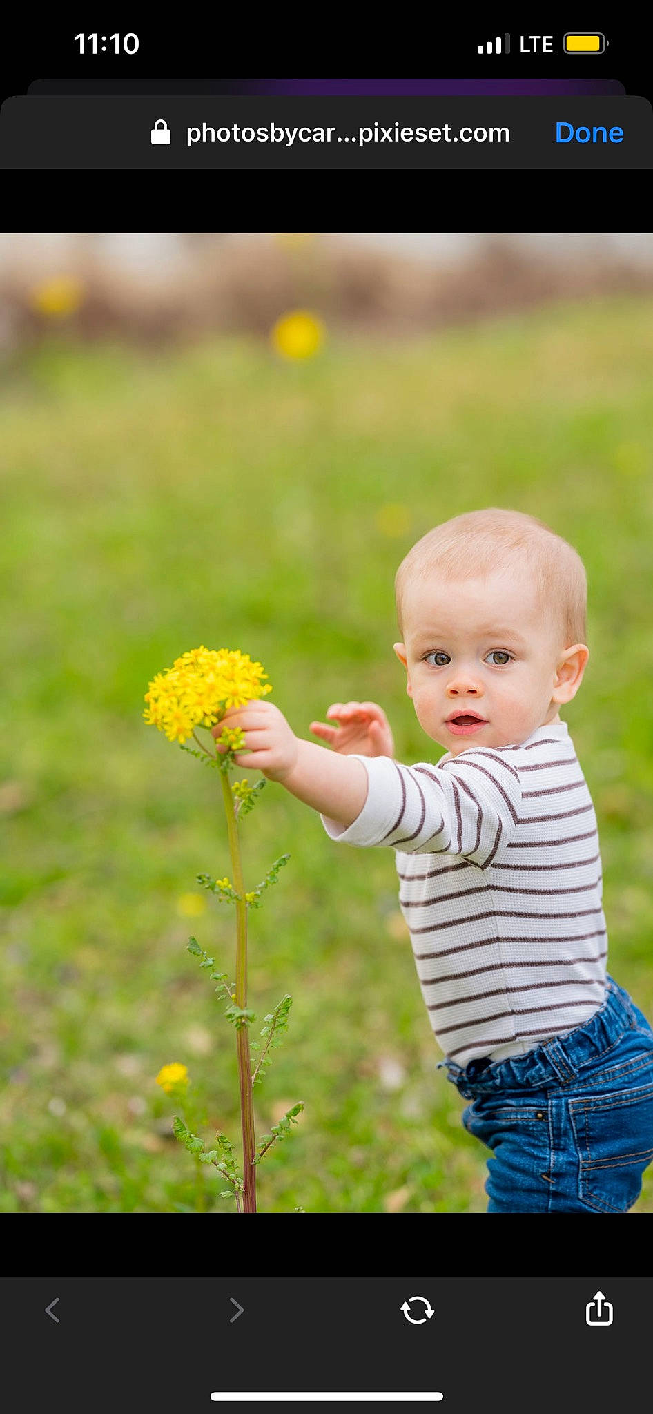 Ryland is registered to the contest to win money with this photo: annual_plant, baby, baby_toddler_clothing, child, field, flower, flowering_plant, gesture, grass, grass_family, grassland, hand, happy, meadow, people_in_nature, person, petal, plant, prairie, spring