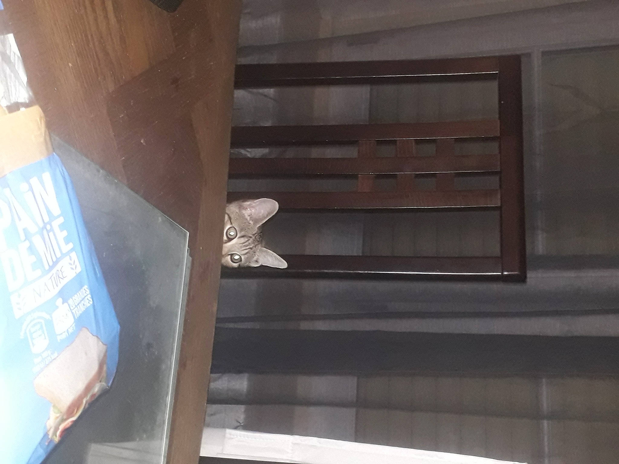 Brook a rejoint le concours — aidez-le/la à gagner de superbes lots ! beam, building, building_material, ceiling, composite_material, concrete, daylighting, fixture, flooring, glass, hardwood, metal, paint, plywood, rectangle, room, shade, shelving, wood, wood_stain