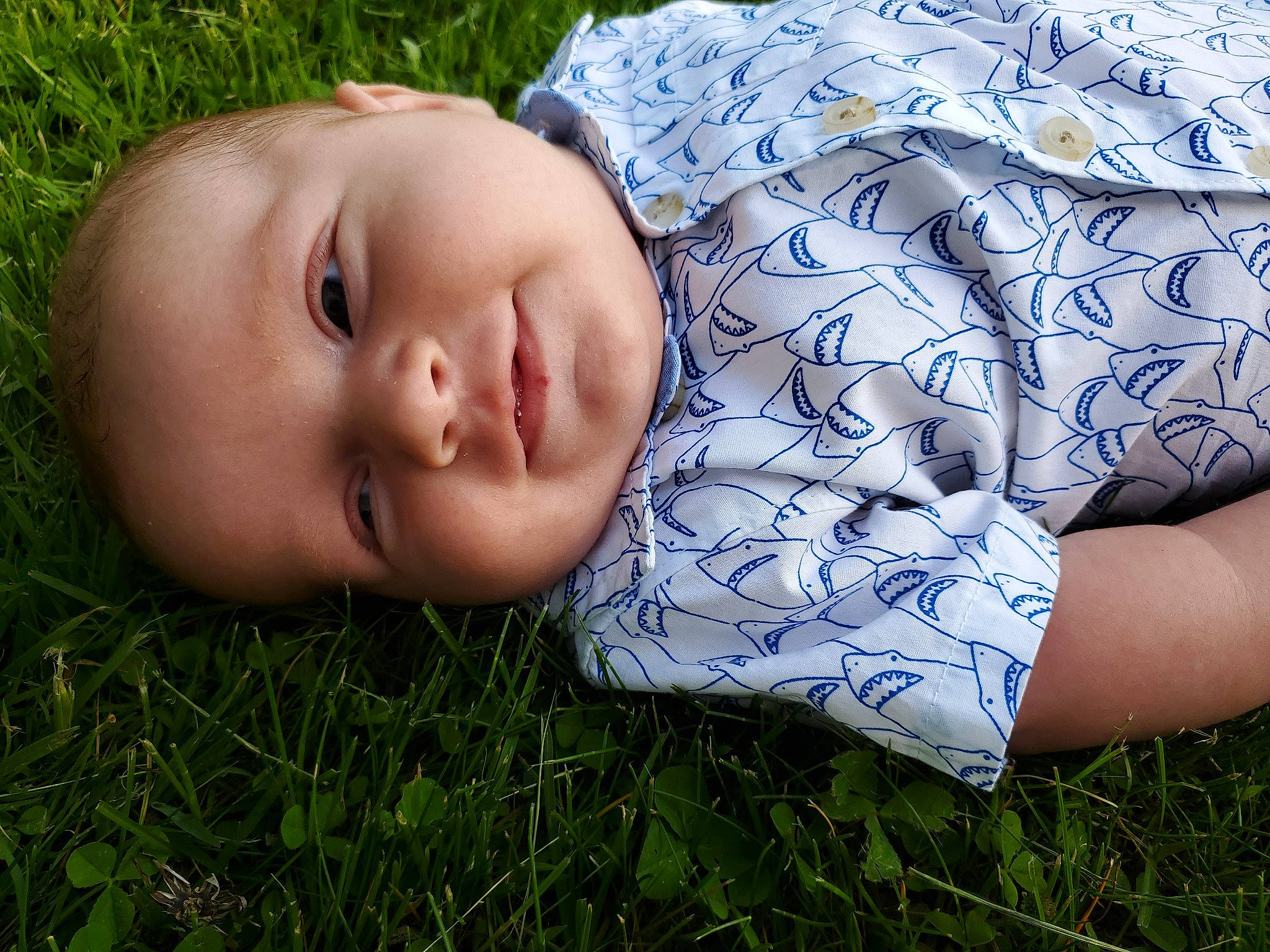 Logan joined the competition — help win amazing prizes! baby, child, grass, nose, people_in_nature, person, skin, toddler