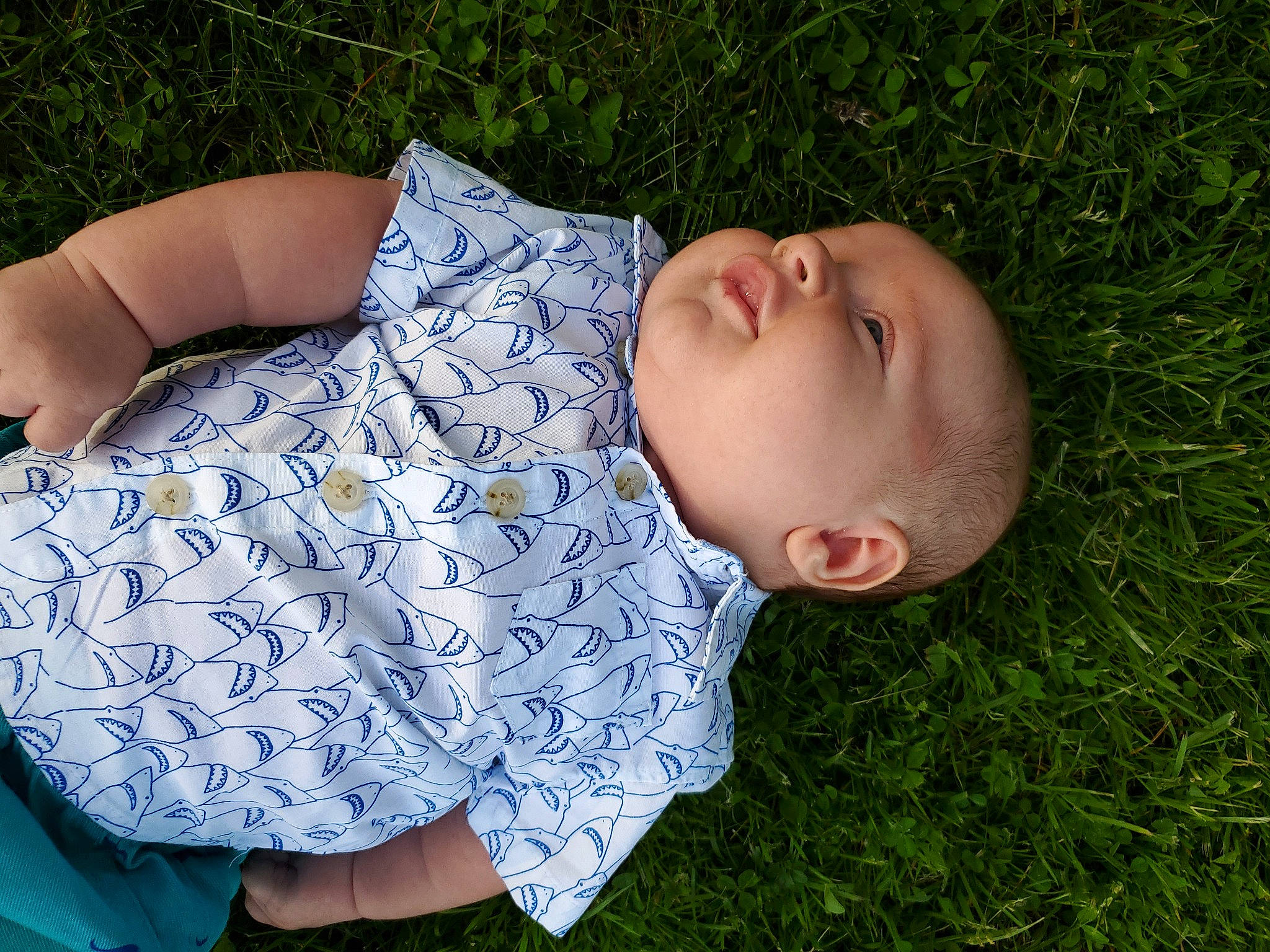 Logan joined the competition — help win amazing prizes! baby, baby_toddler_clothing, child, grass, grass_family, lawn, leaf, meadow, nap, person, photography, plant, sleep, summer, toddler