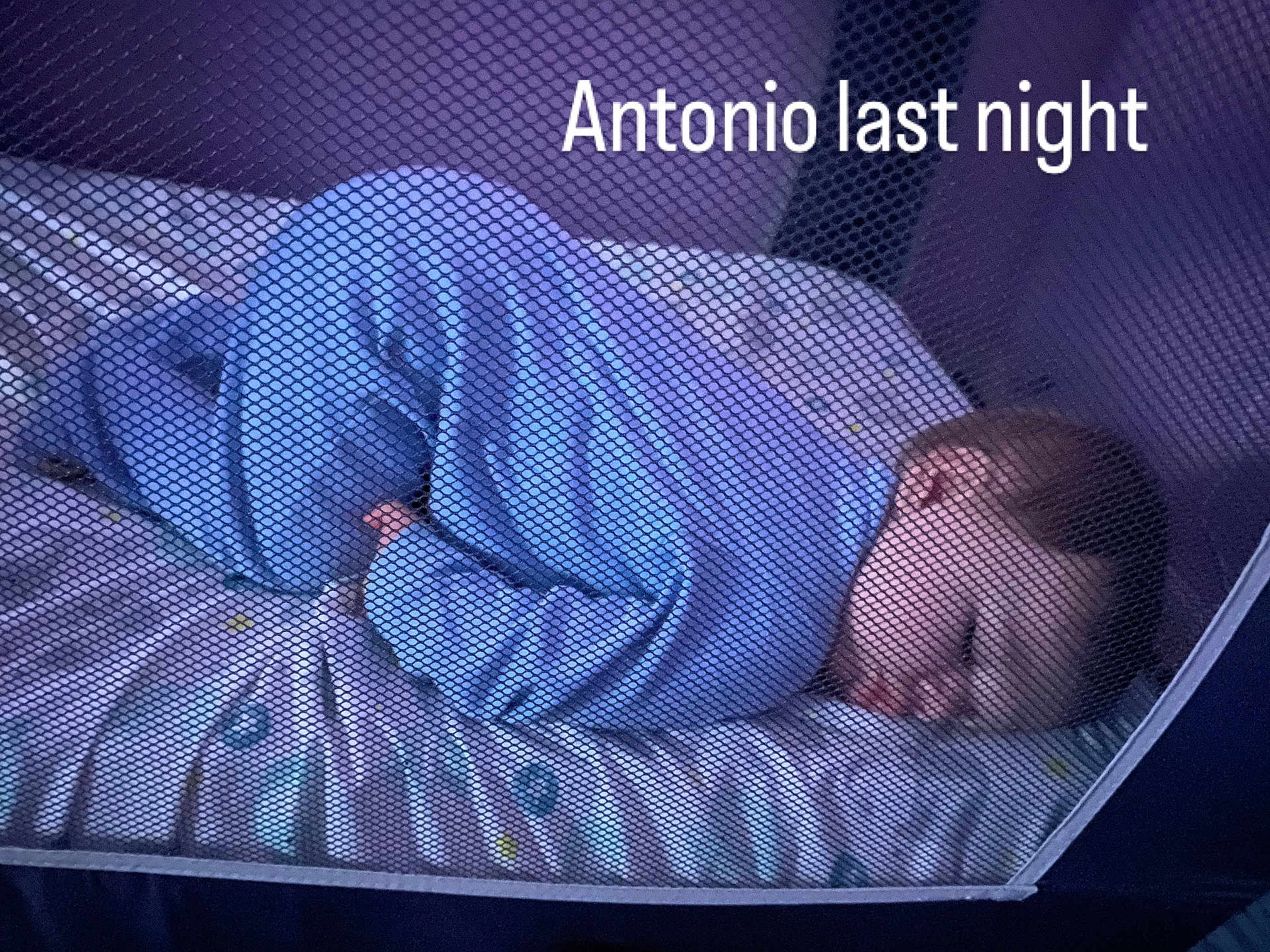 Antonio is registered to the contest to win money with this photo: baby, bed, blanket, cradle, crib, cushion, face, furniture, head, homedecor, infantbed, mosquitonet, newborn, person, sleeping