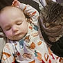Antonio is registered to the contest to win money with this photo: animal, baby, bed, bedroom, blanket, cat, couch, cushion, face, furniture, head, homedecor, indoors, kitten, person, pet, photography, portrait, quilt, sleeping