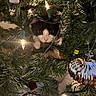 cat, christmas_tree, holiday, ornament, string_lights, black_and_white, feline, pet, animal, portrait, indoors, festive, decoration, branches, greenery, glowing_lights, shiny_ornament, curious, centered_subject, cozy