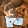 Leonardo joined the competition — help win amazing prizes! animal, blanket, blue_toy, brown_blanket, cat, cozy, cuddle, cute, fur, gray_cat, indoor, kitten, paw, pet, relaxed, sleepy, soft_texture, stuffed_animal, whiskers, white_cat