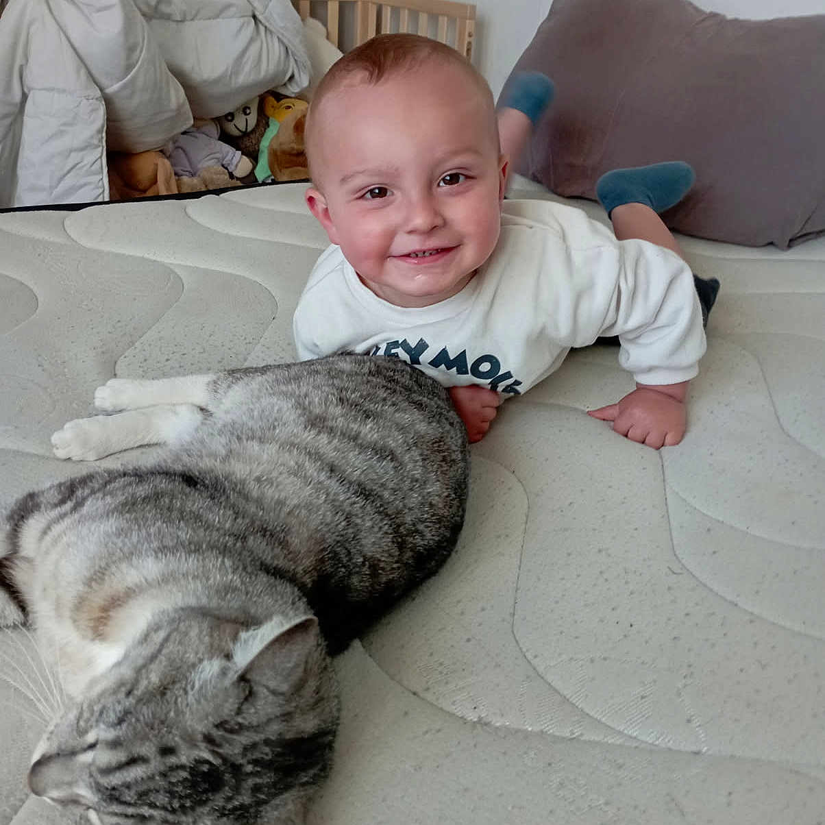 Lyo a rejoint le concours — aidez-le/la à gagner de superbes lots ! animal, baby, bed, bedroom, cat, clothing, couch, cushion, face, furniture, head, homedecor, hosiery, indoors, person, pet, photography, portrait, room, sock