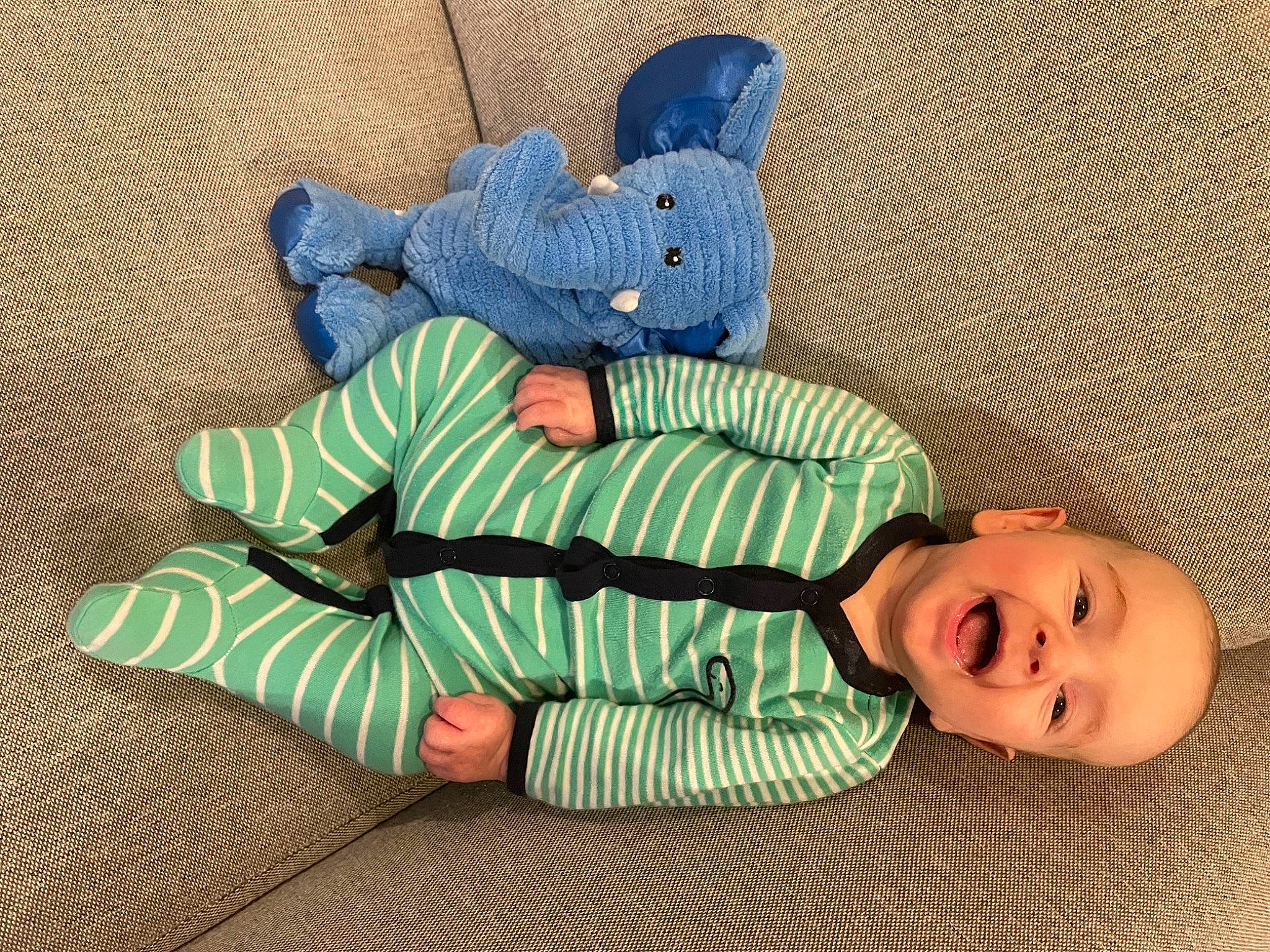 Clay joined the competition — help win amazing prizes! baby, baby_products, baby_toddler_clothing, child, comfort, electric_blue, fictional_character, grass, happy, hat, head, linens, pattern, person, plush, sleeve, smile, stuffed_toy, textile, toddler