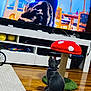 Dusky is registered to the contest to win money with this photo: cat, gray_cat, television, tv_screen, scratching_post, mushroom_shaped, wooden_floor, living_room, furniture, carpet, collar, pet, indoor, entertainment, blurred_image, colorful, curious, sitting, animal, household