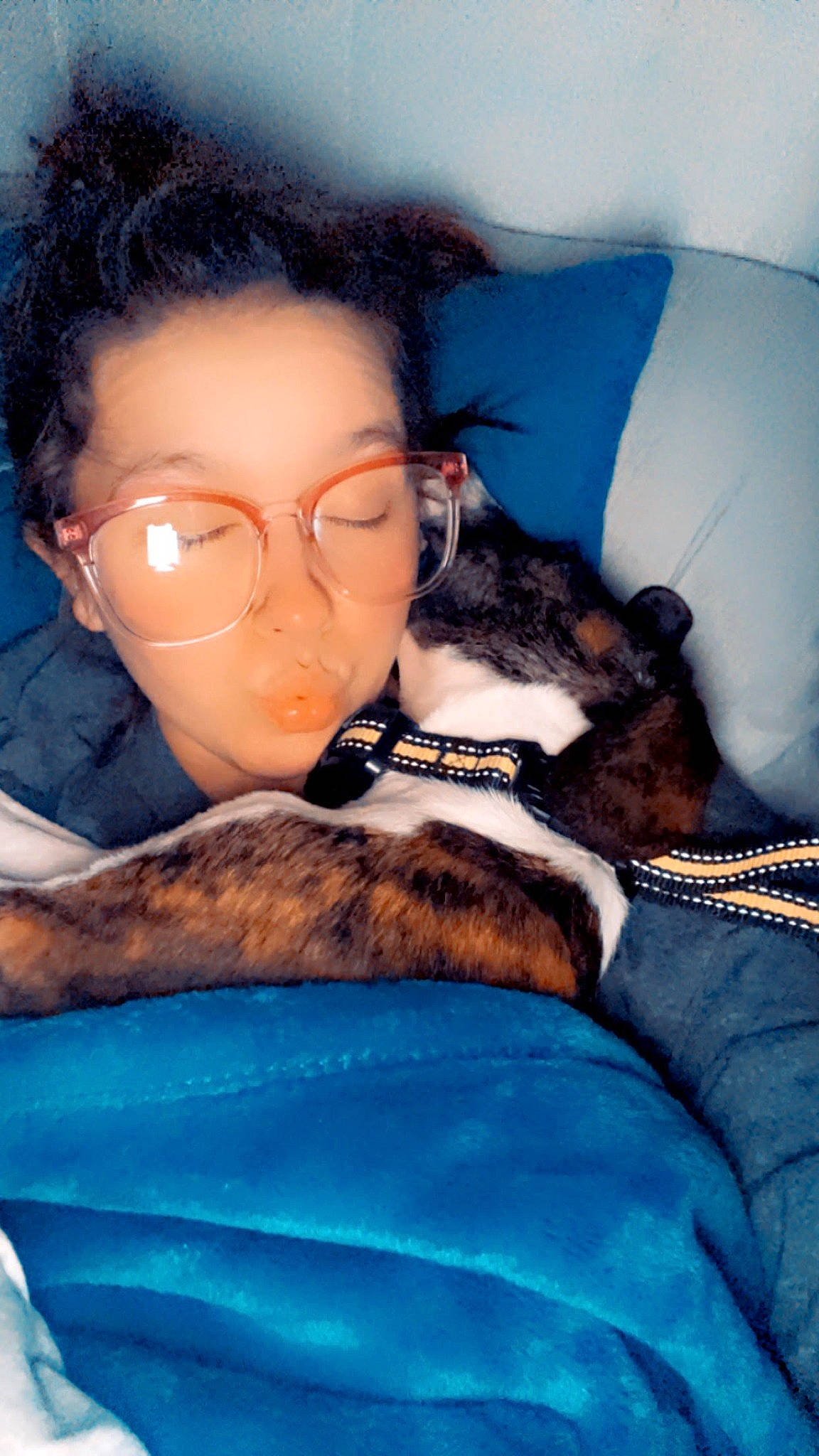 Shaybae joined the competition — help win amazing prizes! black_hair, carnivore, comfort, companion_dog, dog, dog_breed, ear, electric_blue, eyewear, fawn, felidae, fur, glasses, happy, mammal, small_to_medium_sized_cats, snout, vertebrate, vision_care, whiskers