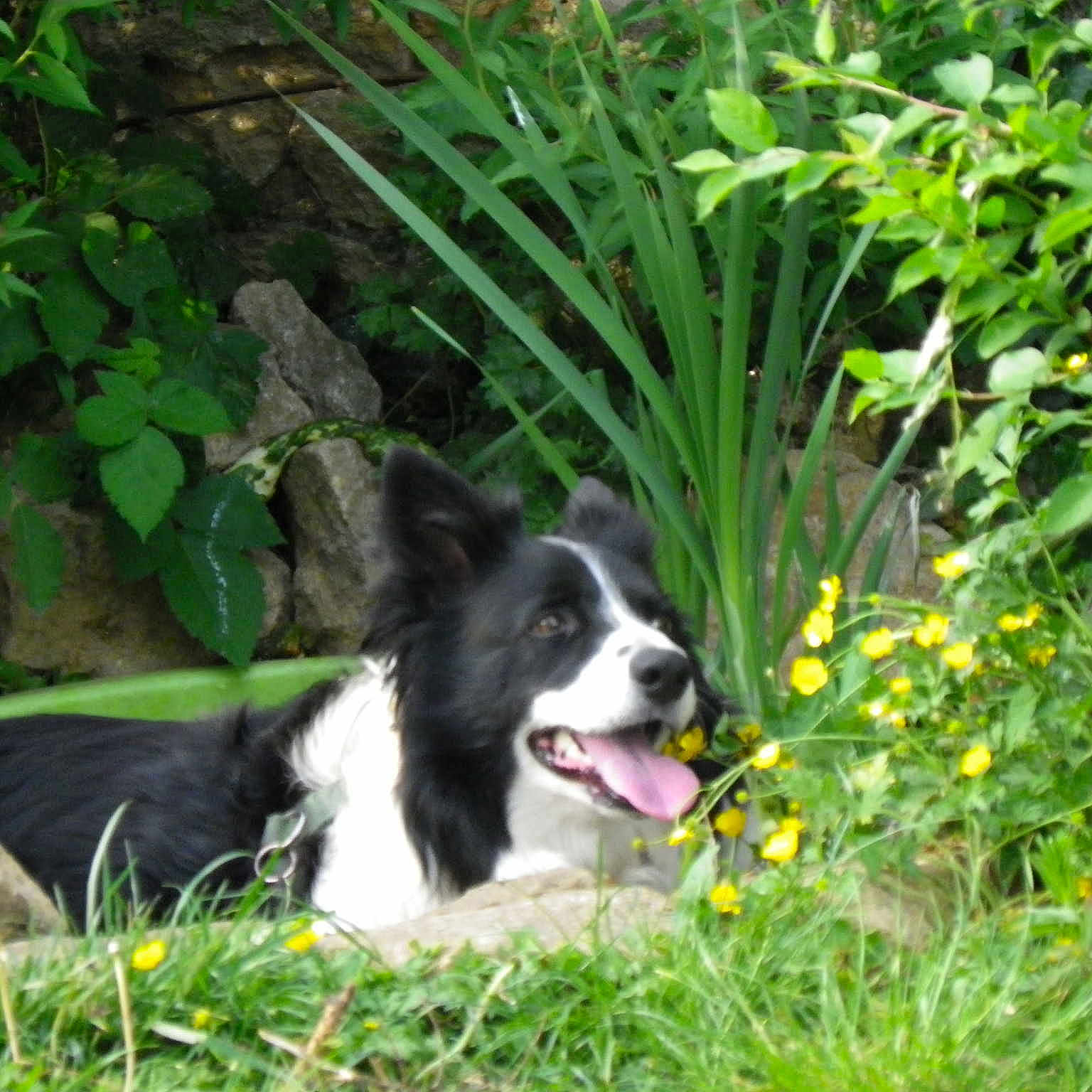 Betty participe au concours pour gagner de l'argent avec cette photo :