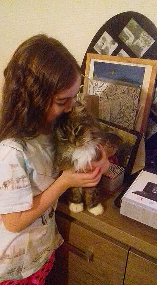 Noisette participe au concours pour gagner de l'argent avec cette photo : canidae, cat, child, ear