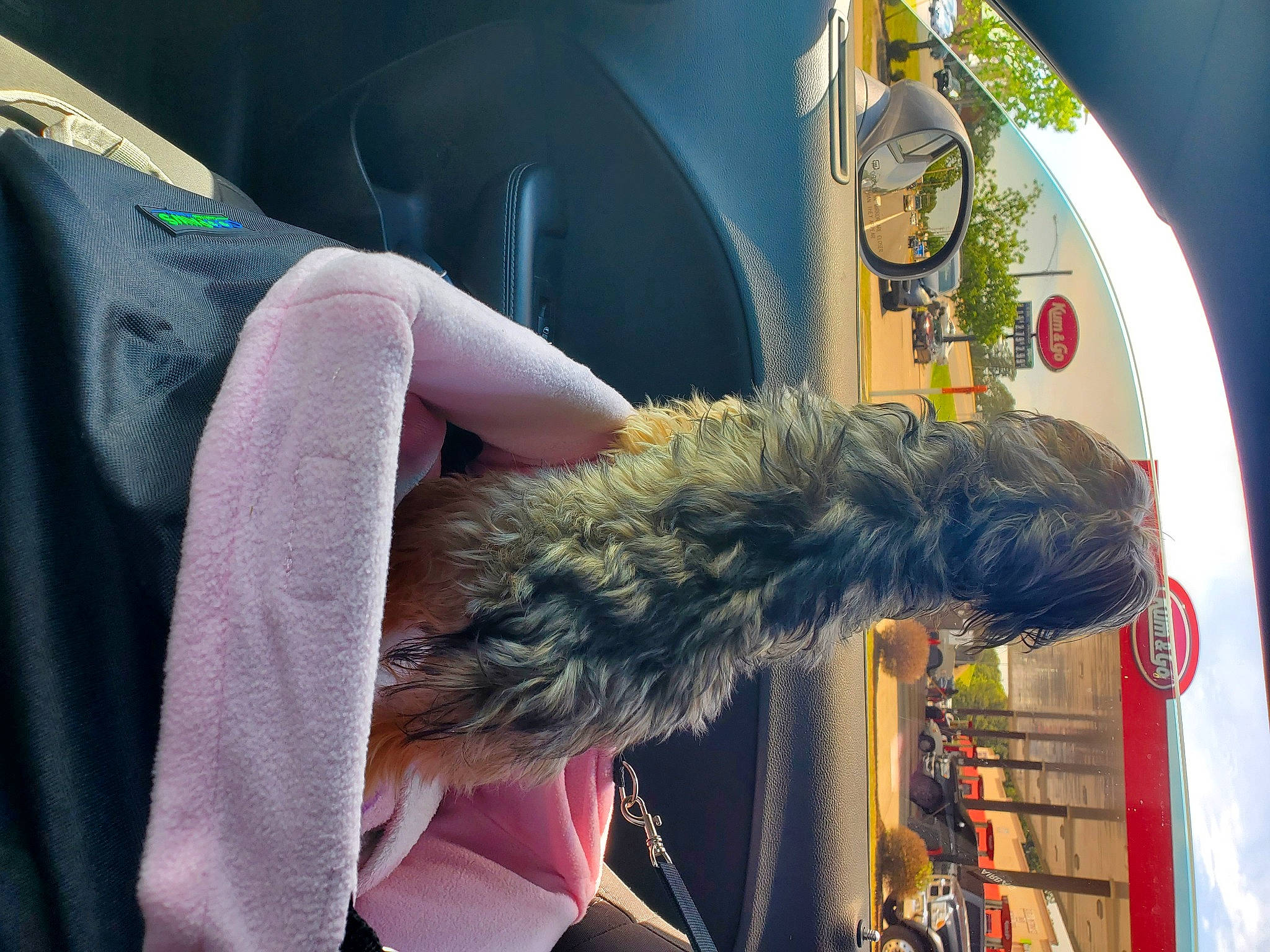 Dosia' joined the competition — help win amazing prizes! auto_part, electric_blue, fashion_accessory, fashion_design, fur, motor_vehicle, natural_material, sleeve, tire