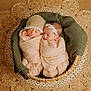 newborn, baby, basket, blanket, knit, sleeping, headband, hat, woven_rug, wooden_floor, cozy, infant, wrapped, peaceful, cute, two_babies, indoor, soft_lighting, portrait, resting