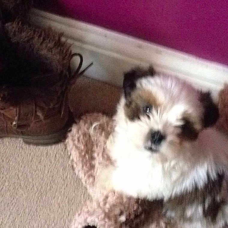 Rudie is registered to the contest to win money with this photo: