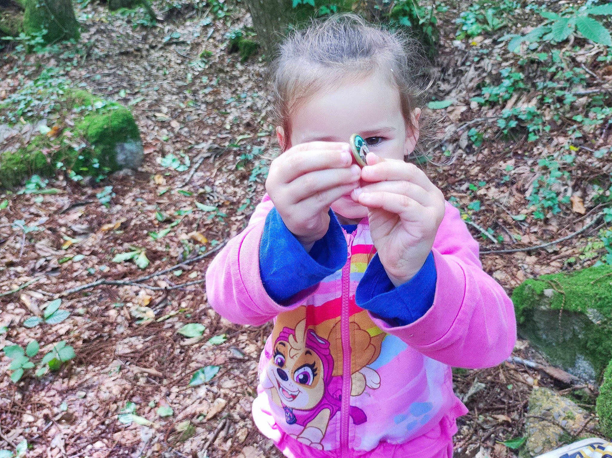 Iléana participe au concours pour gagner de l'argent avec cette photo : adaptation, baby_toddler_clothing, child, electric_blue, finger, forest, fun, grass, groundcover, hand, happy, leisure, natural_environment, people_in_nature, person, plant, soil, t_shirt, thumb, toddler