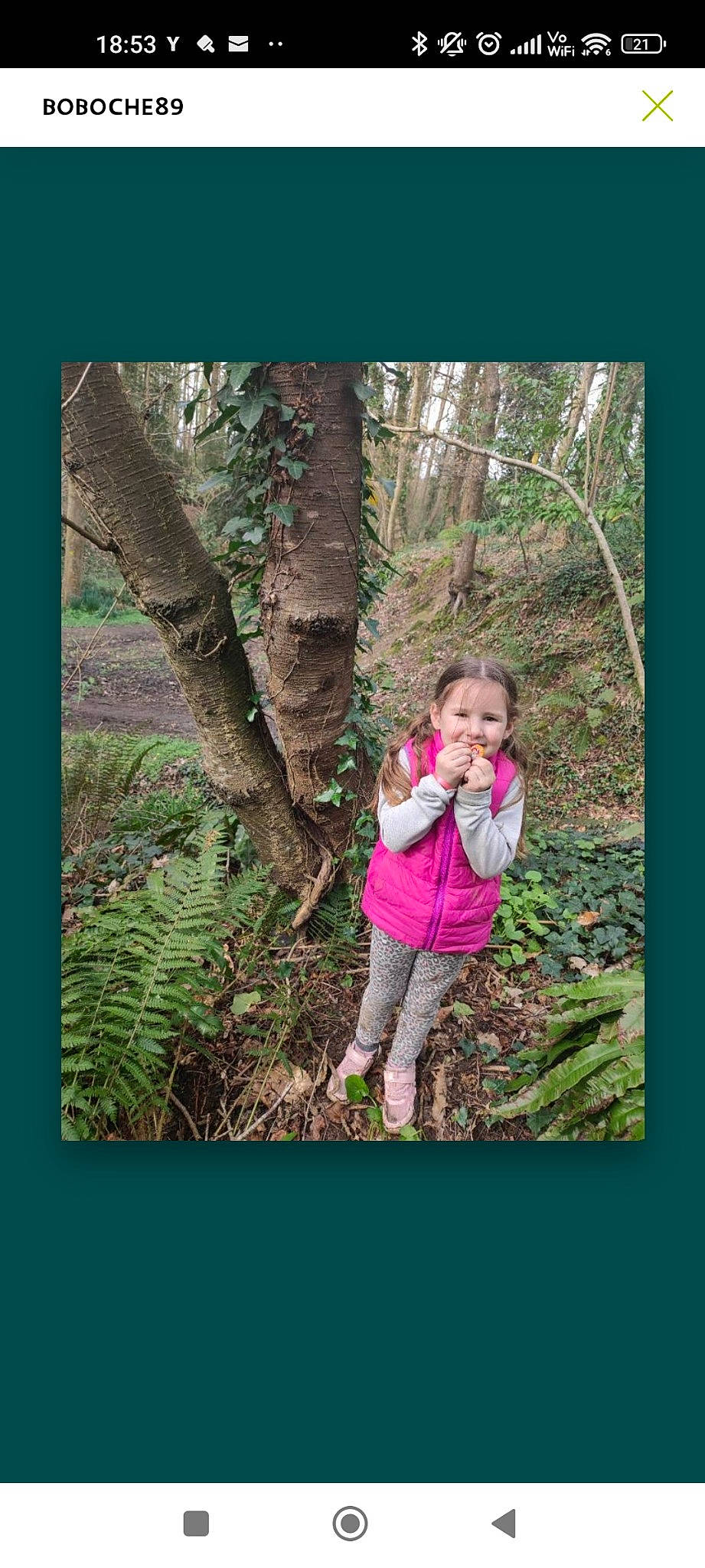 Iléana participe au concours pour gagner de l'argent avec cette photo : branch, forest, gesture, grass, green, happy, joy, jungle, landscape, leisure, natural_landscape, people_in_nature, person, plant, smile, stock_photography, terrestrial_plant, toddler, tree, trunk