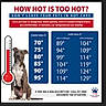 Brutus And Chloe joined the competition — help win amazing prizes! alert, animal, blue, chart, dog, graphic, hot_car, informational, pet, poster, public_safety, red, sign, sitting, temperature, temperature_chart, text, thermometer, warning, white