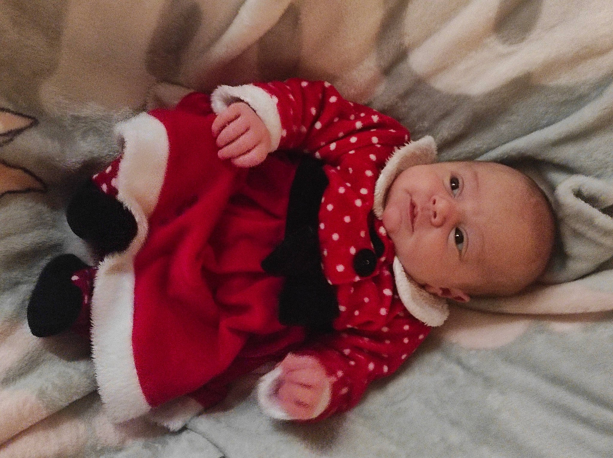 Pauline participe au concours pour gagner de l'argent avec cette photo : arm, baby, baby_toddler_clothing, comfort, eye, face, facial_expression, hand, head, human_body, leg, mammal, person, pink, plant, skin, sleeve, textile, toddler, tree