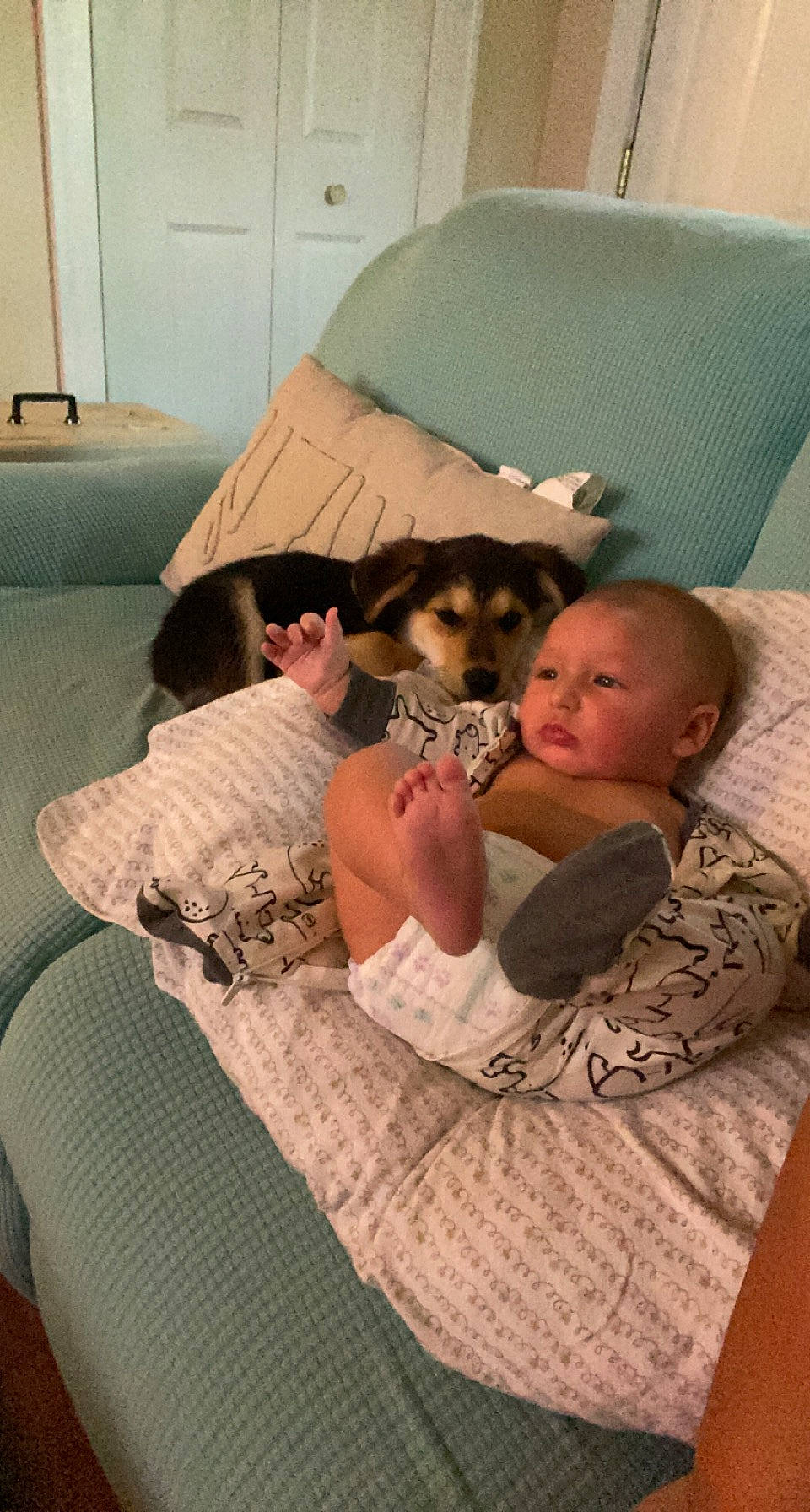 Axel is registered to the contest to win money with this photo: baby, bedding, bedtime, carnivore, child, comfort, companion_dog, couch, fawn, felidae, flooring, fun, furniture, lap, linens, living_room, room, sitting, small_to_medium_sized_cats, toddler