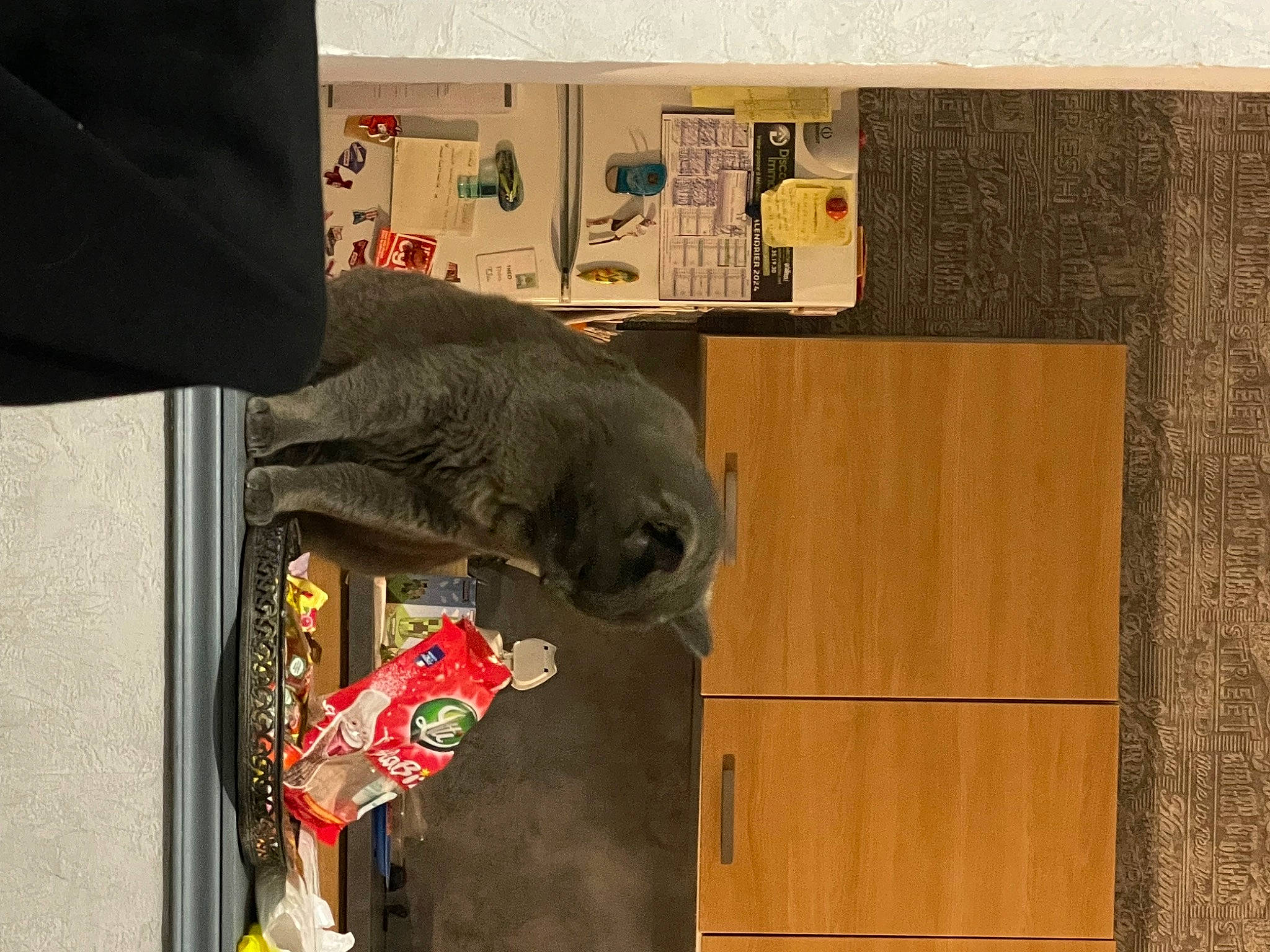 Mistigris participe au concours pour gagner de l'argent avec cette photo : art, artifact, carmine, elephant, facade, font, illustration, indian_elephant, rectangle, room, sculpture, statue, toy, visual_arts, wood, working_animal