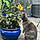 Smudge