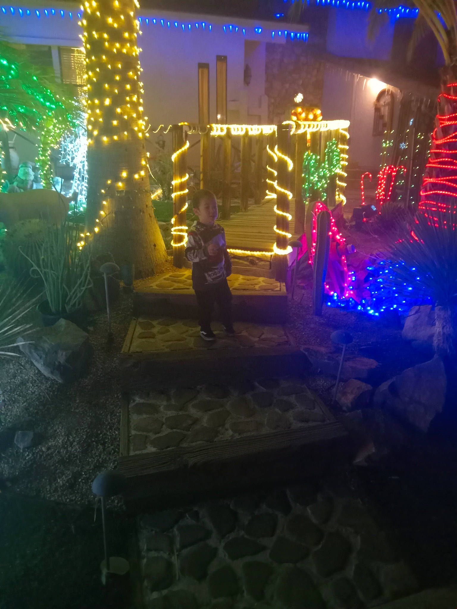 Sergio joined the competition — help win amazing prizes! building, christmas, christmas_decoration, christmas_lights, darkness, decoration, electricity, event, fun, holiday, house, landscape_lighting, leisure, light, lighting, midnight, neon, person, plant, tree