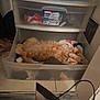 cat, orange_cat, plastic_drawer, clothes, closet, floor, tile_floor, storage, sleeping_cat, furniture, indoor, pet, fur, relaxed, cozy, drawer, home, resting, animal, fluffy