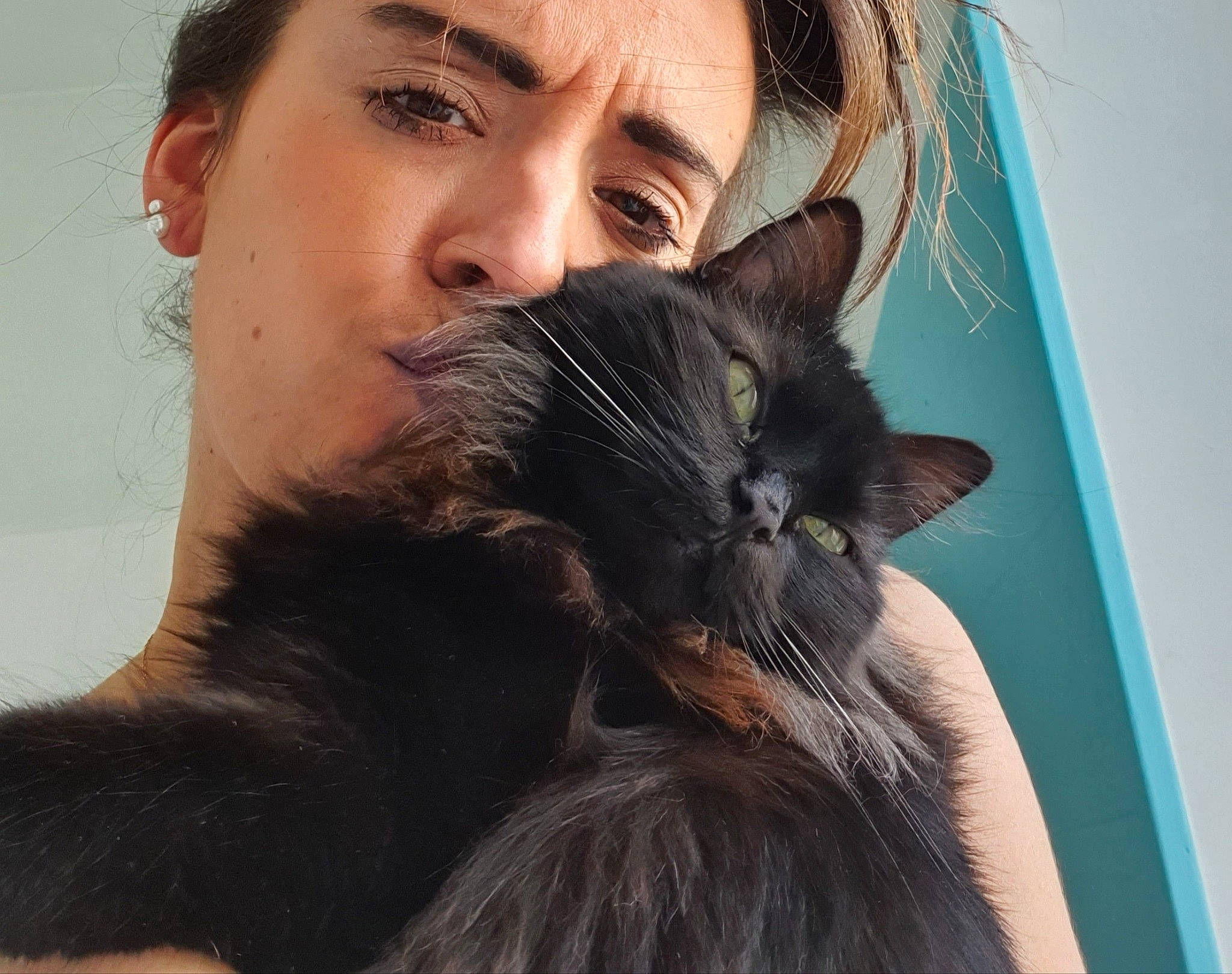 Ayaka participe au concours pour gagner de l'argent avec cette photo : beard, black_cat, black_hair, brown_hair, carnivore, cat, ear, facial_hair, felidae, fur, hair, hair_coloring, hairstyle, kitten, long_hair, maine_coon, moustache, nose, small_to_medium_sized_cats, whiskers