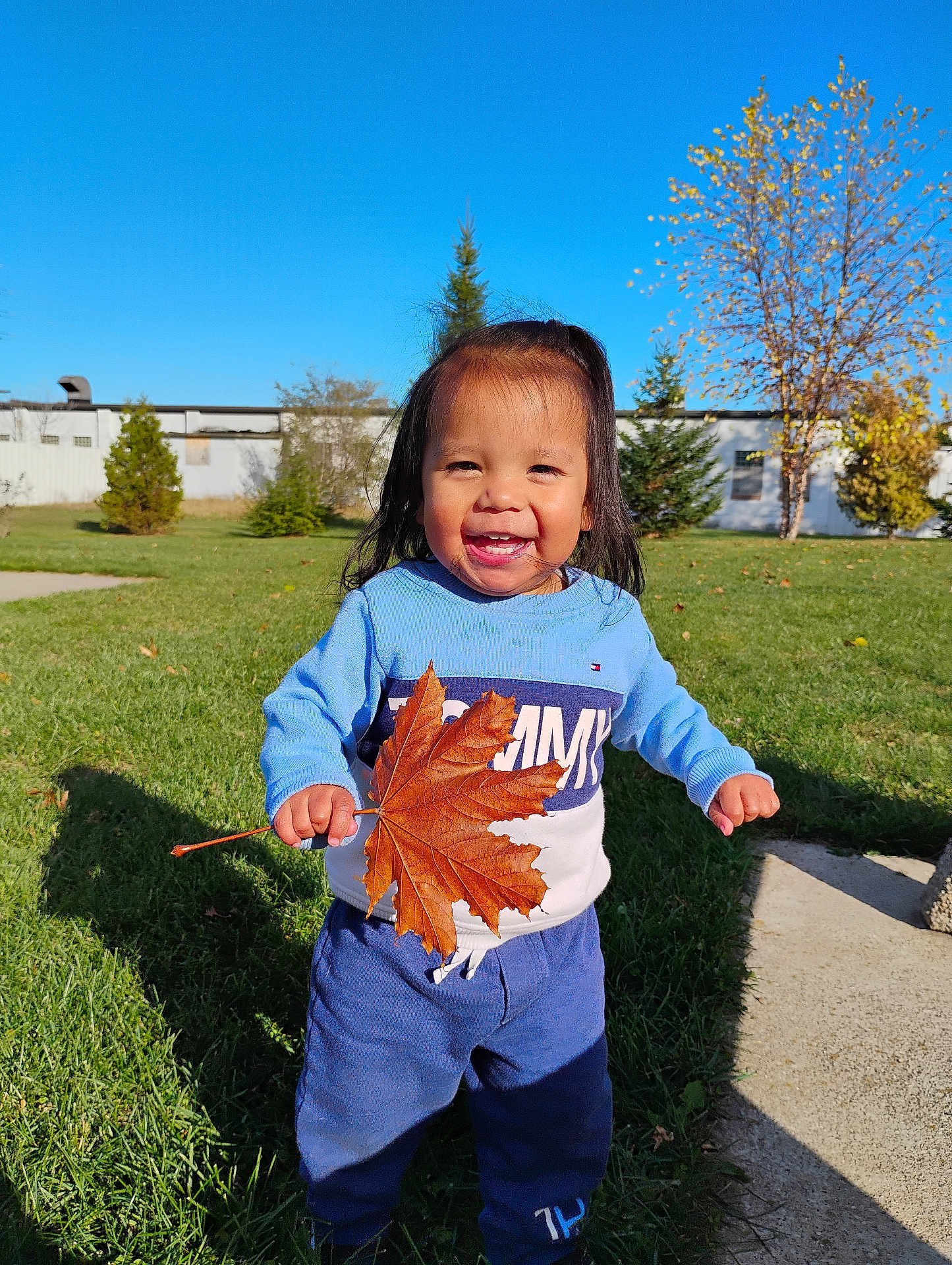 Nēmowwākoh is registered to the contest to win money with this photo: autumn, blue_sky, casual_clothing, cheerful, child, daylight, fall, grass, happy, holding, leaf, nature, outdoor, person, playful, smiling, sunlight, toddler, tree, young_child