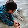 Trésor a rejoint le concours — aidez-le/la à gagner de superbes lots ! animal, blue_hoodie, cat, child, closeup, curious, cute, floor, fur, hands, indoor, interaction, laying_down, looking, person, pet, side_view, white_cat, wooden_floor, young