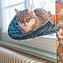 cat, tabby_cat, indoor, window, hammock, plush, sunlight, radiator, curtain, home, cozy, pet, animal, relaxed, feline, resting, green_eyes, fur, domestic_cat, quiet
