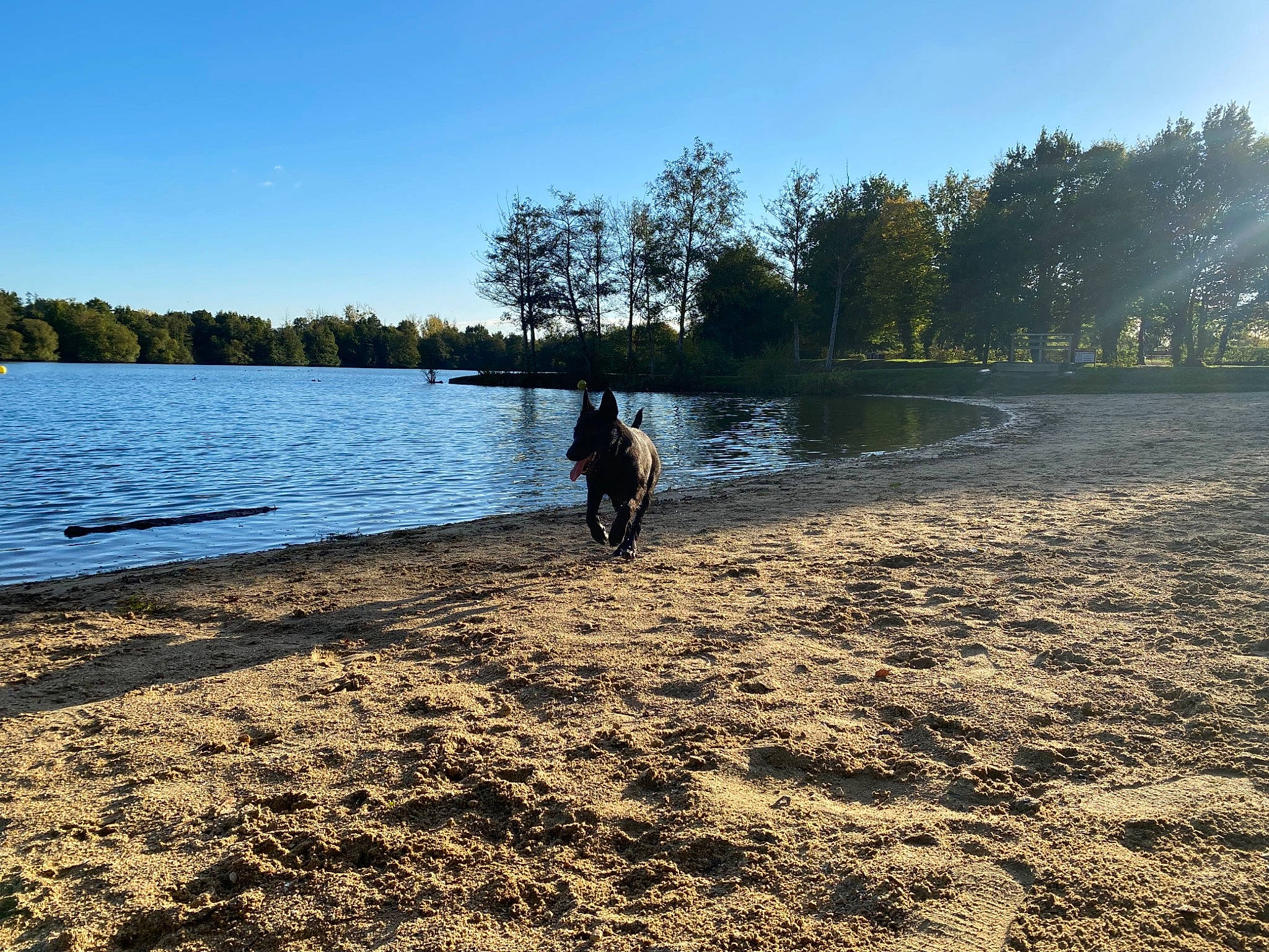 Shaï a rejoint le concours — aidez-le/la à gagner de superbes lots ! beach, calm, coast, coastal_and_oceanic_landforms, horizon, lacustrine_plain, lake, landscape, leisure, natural_landscape, people_in_nature, plant, reservoir, shore, sky, tree, water, wetland, wind_wave, wood