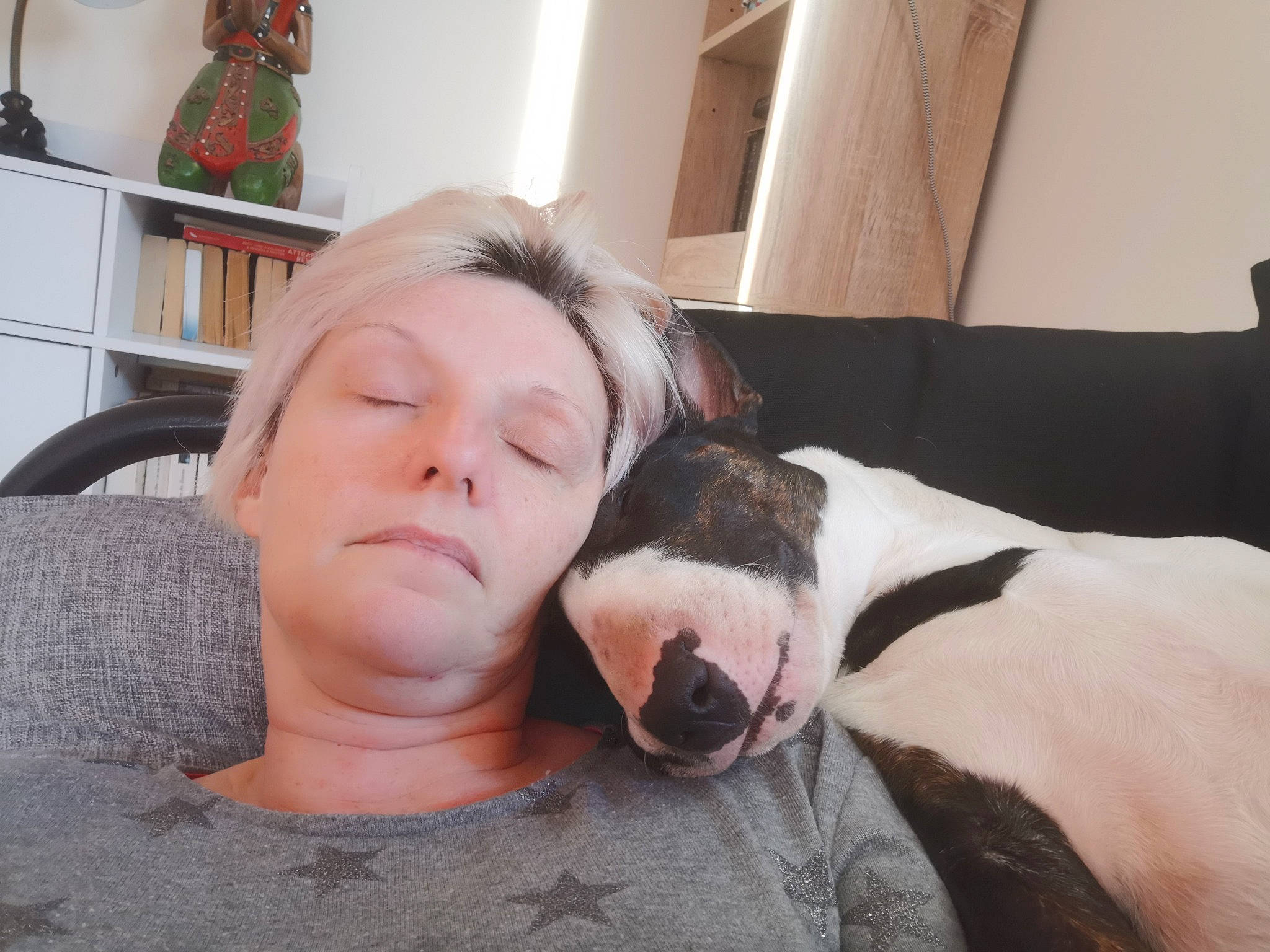 Tokyo participe au concours pour gagner de l'argent avec cette photo : bull_terrier, canidae, carnivore, companion_dog, dog, dog_breed, ear, fawn, head, nap, non_sporting_group, nose, puppy_love, selfie, sleep, snout