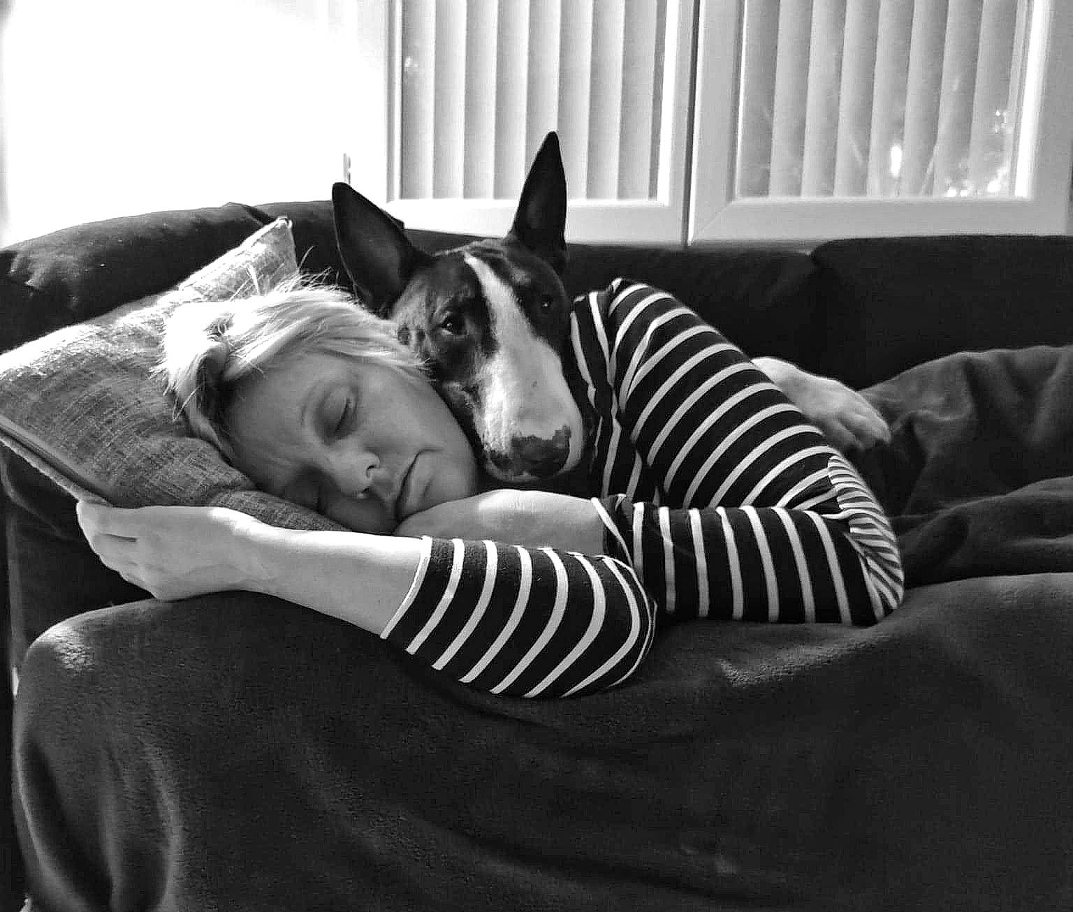 Tokyo a rejoint le concours — aidez-le/la à gagner de superbes lots ! black_and_white, canidae, carnivore, comfort, companion_dog, couch, furniture, linens, monochrome, monochrome_photography, nap, photography, pillow, sleep, style