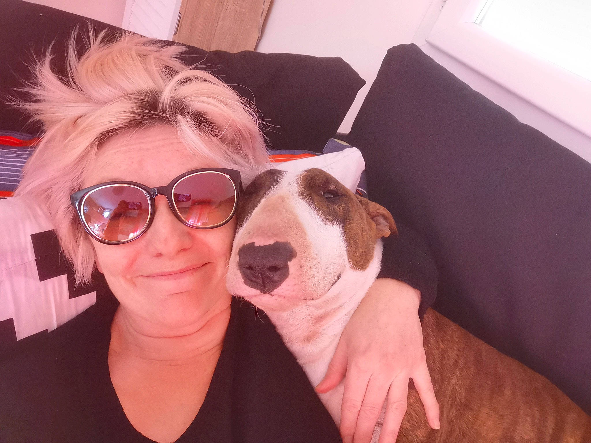 Sumo participe au concours pour gagner de l'argent avec cette photo : canidae, carnivore, companion_dog, cool, dog, dog_breed, ear, eyewear, face, fawn, glasses, head, nose, photography, pit_bull, puppy_love, selfie, skin, smile, snout